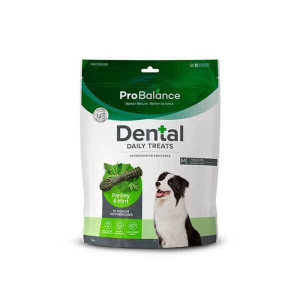 Probalance Toothbrush Parsley & Mint