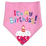 HEALTHY PET BANDANA HAPPY BIRTHDAY PINK
