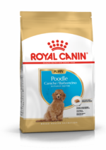 ROYAL CANIN POODLE PUPPY 3KG - Image 3