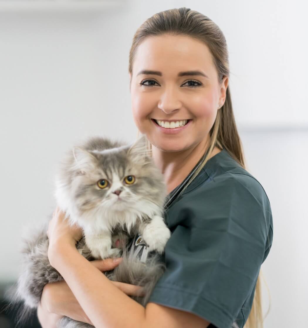 iStock-979195912 Veterinary - Image 1