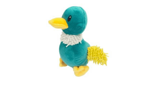 image_2025-08-16_205436087 Happy Pet Bobbletops Birdie - Image 1