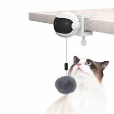 image_2025-08-30_130036476 OHANA INTERACTIVE YO YO CAT TOY - Image 1