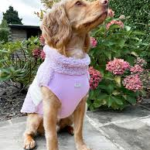 Ohana Dog Jacket Adelaide Lilac M 35Cm