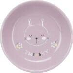 TRIXIE ΠΙΑΤΟ ΚΕΡΑΜΙΚΟ ΓΑΤΑΣ JUNIOR 200ML/14CM